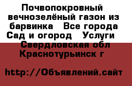 Почвопокровный, вечнозелёный газон из барвинка - Все города Сад и огород » Услуги   . Свердловская обл.,Краснотурьинск г.